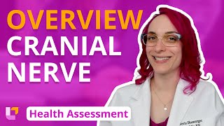 Cranial Nerve Overview  Health Assessment for Nursing Students  LevelUpRN [upl. by Aineles122]