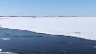 Ice Tsunami Dudinka Russia [upl. by Arannahs907]