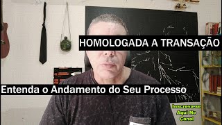 Homologada a Transação  Como Entender meu Processo Judicial [upl. by Garrison140]