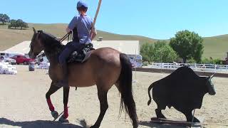 Working equitation clinic the ring on the bull [upl. by Girardo]