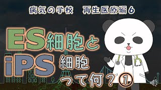 再生医療編６ ES細胞とiPS細胞って何？① [upl. by Eidoj251]