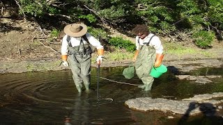 Electrofishing Equipment How to set electro fishing backpack features electric fishing machine [upl. by Gennie]