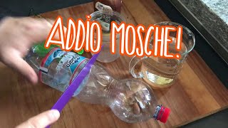 Trappola Naturale contro mosche zanzare e insetti vari mosquito trap [upl. by Lole]