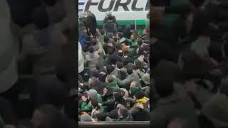 Kocaelispor Amed SF Tribün şov [upl. by Ycniuq]