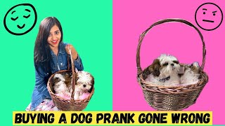 Buying New DOG PRANK on HER Emotional [upl. by Eelirol]