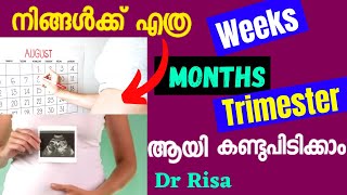 How to Calculate pregnancy weeksmonth amp trimester Malayalam [upl. by Enixam]