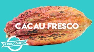 CACAU Fresco Já comeu o fruto do Cacaueiro  PraComer  PratoFundo [upl. by Notlehs880]