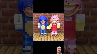 Which couple do you like more Richard or Shin Sonic roblox sonic minecraft [upl. by Cloe268]