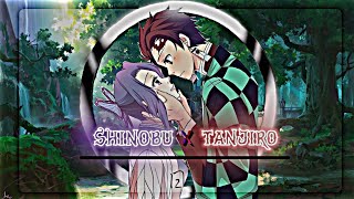 Shinobu x Tanjiro  Ep 1 Pilot textingstory demonslayer [upl. by Akihsat368]