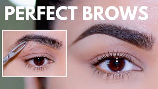 HOW TO GROOM SHAPE amp MAINTAIN EYEBROWS AT HOME BEGINNER FRIENDLY [upl. by Anolla]