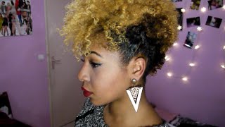 LE FROHAWK  CHEVEUX AFRO COURTS [upl. by Nalro343]