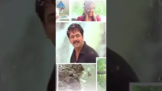 Nadhiye Nadhiye Song  Rhythm Tamil Movie Songs  Arjun  AR Rahman [upl. by Reinke]