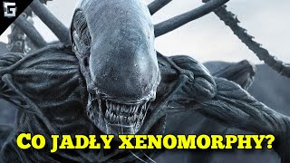 Co Jadły Xenomorphy Obcy [upl. by Allecsirp]