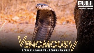 Africa’s Most Venomous Snakes The Venomous 5  2021 Full Documentary [upl. by Aytak]