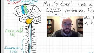 Spinal Cord Injury Physiology  Pathophysiology [upl. by Namaj628]