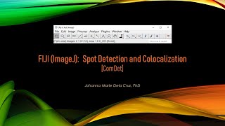 FIJI ImageJ Spot Detection and Colocalization ComDet [upl. by Yrekcaz]