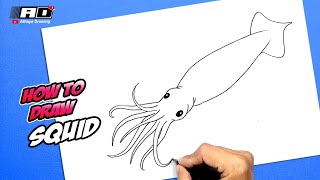 How to draw a Squid [upl. by Cecilla344]