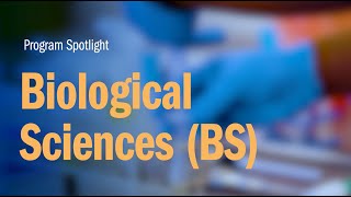 Biological Sciences BS  Webster University [upl. by Columbyne]