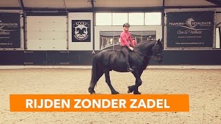 Basis paard rijden zonder zadel  PaardenpraatTV [upl. by Binky809]