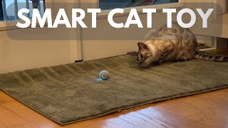 Smart Interactive Cat Toy Review [upl. by Lias]