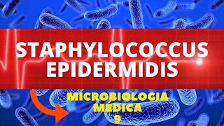 STAPHYLOCOCCUS EPIDERMIDIS  MICROBIOLOGIA MÉDICA  AULA 9 [upl. by Akcebar773]