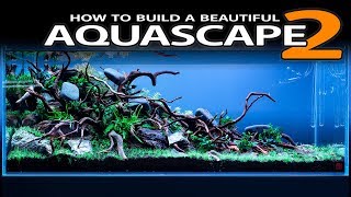 HOW TO BUILD A BEAUTIFUL AQUASCAPE EASILY  PLANTING [upl. by Afrika]