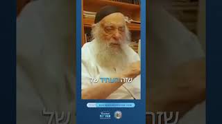 Reb Yoel on the future of Lubavitch [upl. by Vincenta916]