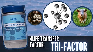 4Life Transfer Factor Tri  Factor Fórmula 🐄🥚 BENEFICIOS [upl. by Aneleh121]