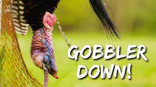 Unbelievable Turkey Hunt in Ohio [upl. by Ddot]