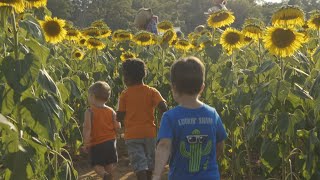 Embracing Agritourism Alvis Farms [upl. by Carmella]