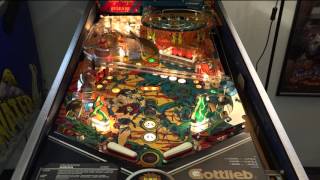 Arena Gottlieb 1987 Flipper Pinball [upl. by Wittenburg]