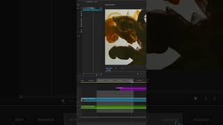 PXL READY Plugin  Premiere Pro  How to use the Export Tool [upl. by Labotsirhc]