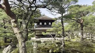 🇯🇵 Ginkakuji Temple is Jishoji Temple 20240224 [upl. by Agnimod607]