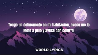 Tengo un delincuente letra  Tokischa Anuel AA Ñengo Flow  Delincuente “World lyrics” [upl. by Dorry73]