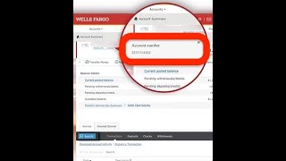 How to Find Wells Fargo Auto Loan Account Number [upl. by Malliw]