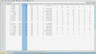 SPSS VideoSeminar  Teil 11 Datenexploration  Diagrammvorlagen speichern [upl. by Fanchet]