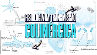 TRANSMISSÃO COLINÉRGICA  AULA NEUROFISIOLOGIA 3 [upl. by Ainaj]