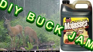 DIY 200 Buck Jam Molasses Deer Attractant [upl. by Errot]