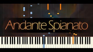 Andante Spianato in G major Op 22  CHOPIN [upl. by Haroldson]