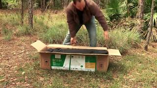 Cotton Canvas Bell Tents  Unboxing amp Setup  Regatta 16  Glamping and Outdoor Camping Tents [upl. by Bradski]