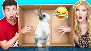 Whats In The Box Challenge with My Wife Live Animals Snake Lizard Giant Toad [upl. by Harcourt570]