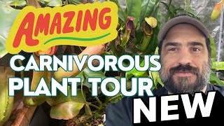 Amazing Carnivorous Plant Tour With Big Updates [upl. by Yelsha]