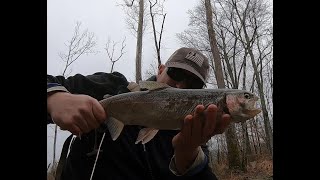 Trout fishing Hatchery Creek at Wolf Creek Dam below Lake Cumberland Kentucky [upl. by Erodavlas]