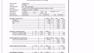 Reisekostenabrechnung mit Excel [upl. by Venditti201]