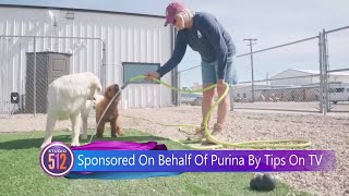 How Purina Is Helping This Veteran’s Day [upl. by Oicnoel]