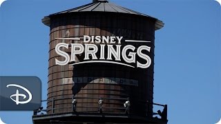 Story Behind the Disney Springs Water Tower  Walt Disney World [upl. by Annahvas]