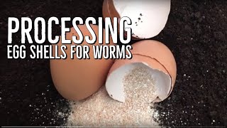 How I Process Egg Shells For My Worm Bins [upl. by Ojybbob297]