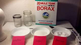 Borax and DIY Ant Trap with educational health and safety facts using all natural Borax [upl. by Amari]