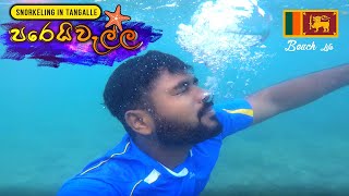 Snorkeling in Parei Wella  Tangalle  Sri Lanka  TRAVEL VLOG 4 [upl. by Eibob561]