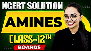 AMINES  NCERT Solutions  Chemistry Chapter 10  Class 12th Boards [upl. by Lipinski]